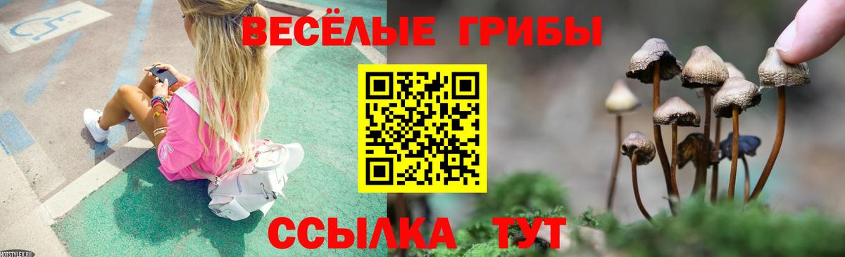 Псилоцибиновые грибы MAGIC MUSHROOMS Феодосия